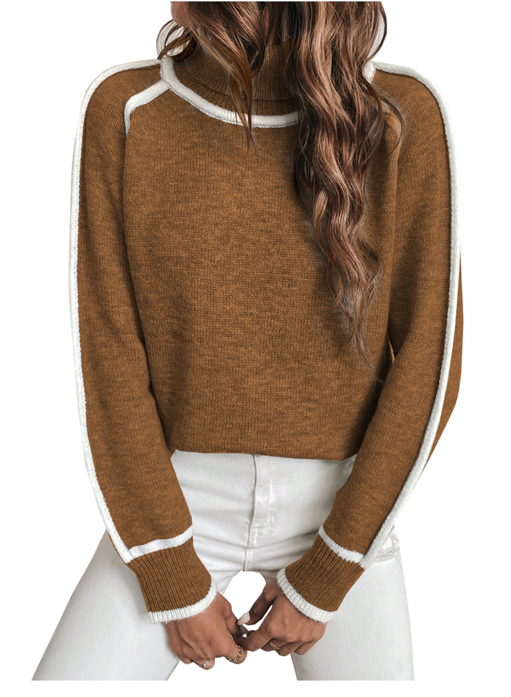 Coralie Contrast-Stitch Turtleneck Sweater, Brown