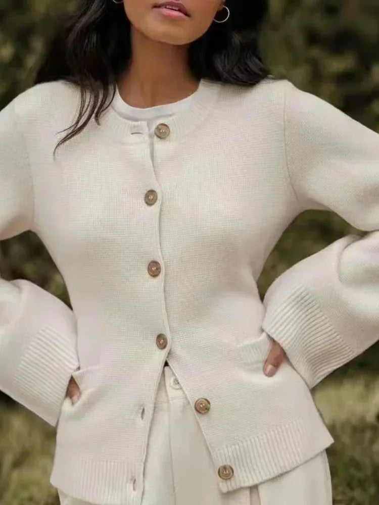 Philippa Button Placket Crew Neck Sweater, front view