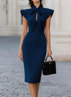 Verity bow detail midi dress, view 4